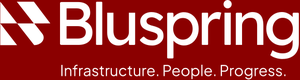 Bluspring Anthurium Noida